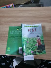 荷花：叶圣陶儿童文学集