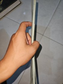 梅花磁针灸全息诊疗法资料汇编