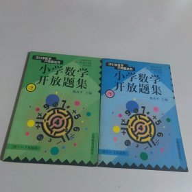 中小学数学开放题丛书：小学数学开放题集（4-6年级上下）