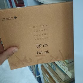 书意心影