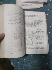 中药学讲义