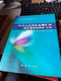 中天山及邻区金属矿床成矿规律和找矿方向 精装