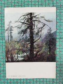 吴冠中油画写生（11幅）