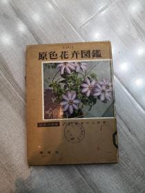 原色花卉图鉴上册　1957年 保育社 32开