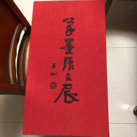 笔墨张立辰（典藏本）3开本厚册（张立辰画家）