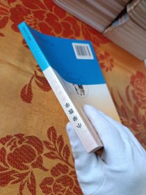 小学数学教学新论