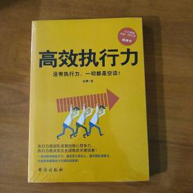 高效执行力（没有执行力，一切都是空谈！一部打造超强战斗力团队的宝典）