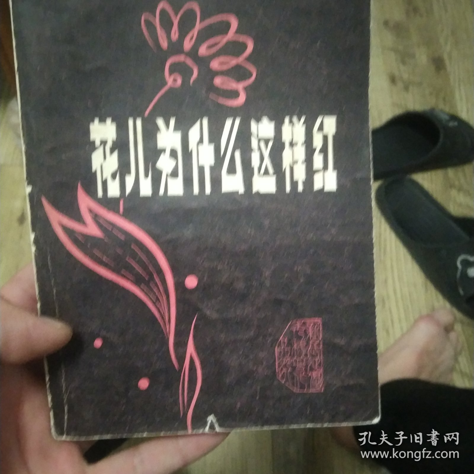 花儿为什么这样红
