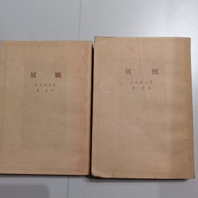 贝姨（上下）