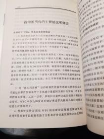 WTO的未来：阐释新千年中的体制性挑战