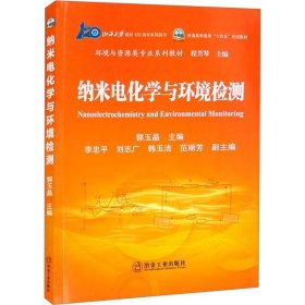 正版 纳米电化学与环境检测 作者 化学工业出版社