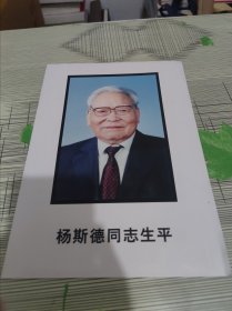 杨斯德同志生平 九品