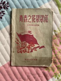 青春之花朵朵红