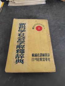 新哲学社会学解释辞典（存放258层6楼）
