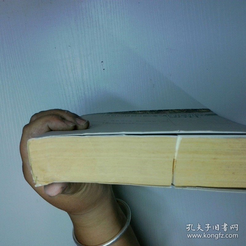 中国中外文艺理论研究2011