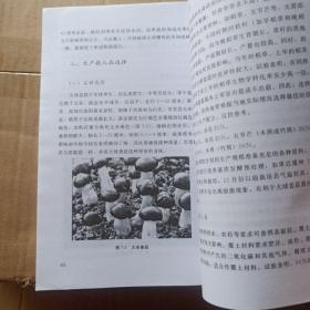 正版实拍：无公害珍稀食用菌栽培