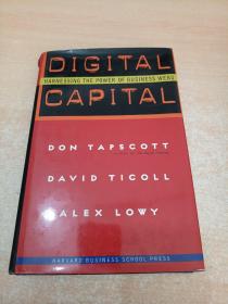 Digital Capital: Harnessing the Power of Business Webs