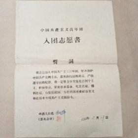 1960年入团志愿书