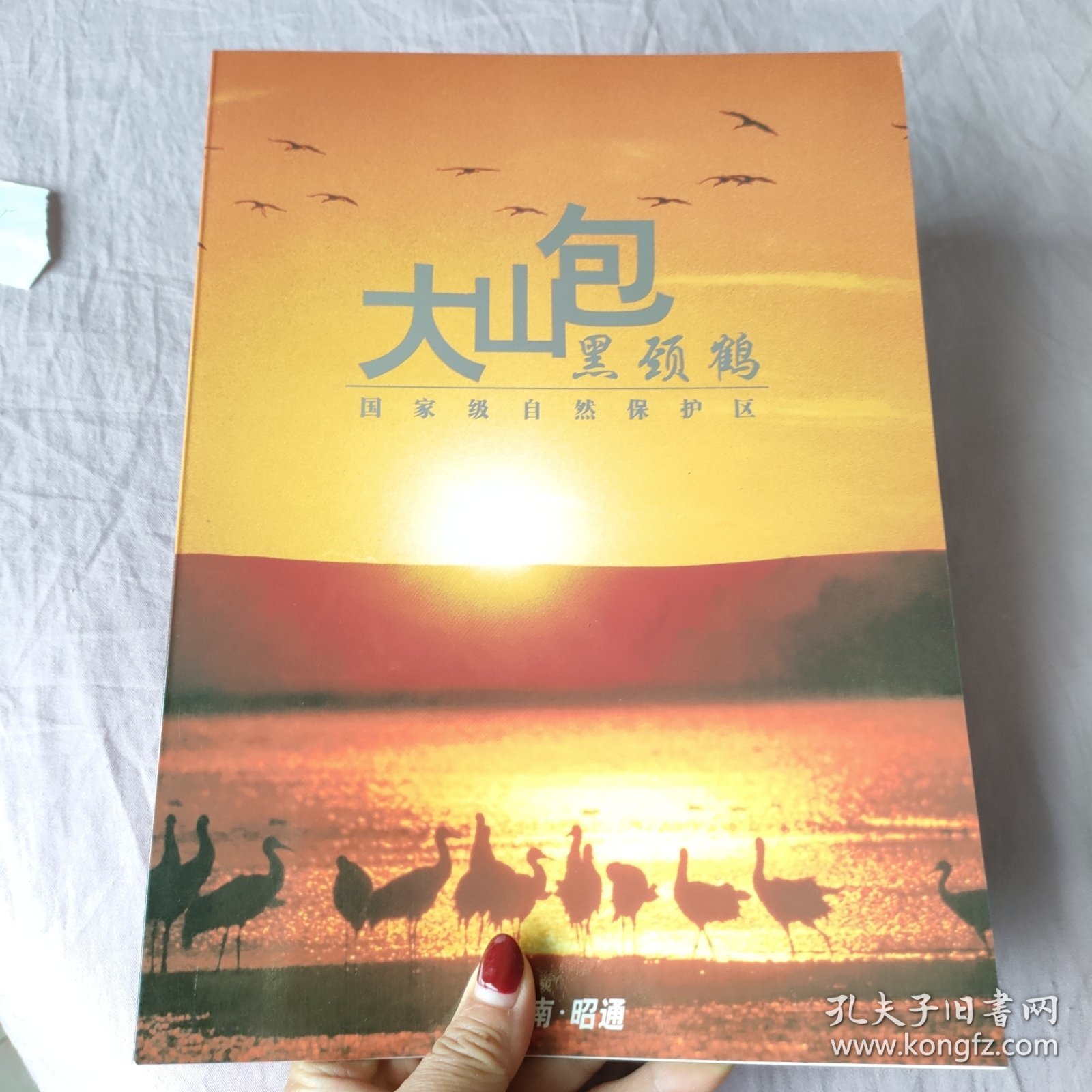 大山包黑颈鹤国家级自然保护区 邮册