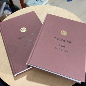 中原文化大典:文物典  龙门石窟（上下册）