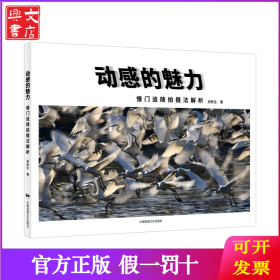 动感的魅力：慢门追随拍摄法解析
