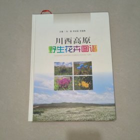 川西高原野生花卉图谱