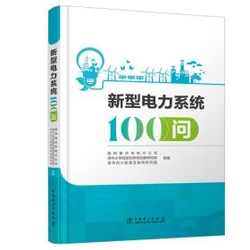 新型电力系统100问 水利电力 作者 新华正版