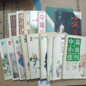 中篇小说选刊1986第1到6期，中篇小说选刊1988第四期第五期，中篇小说选刊1989年第一期第二第三期，中篇小说选刊1993年第五期，中篇小说选刊1995年第五期。小说月报1996第7期，小说月报2010年增刊，小说界1985年第四期。共15本合售