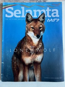 《Selamta》非洲埃塞俄比亚杂志