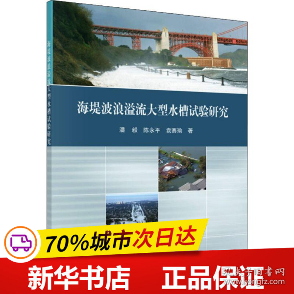 海堤波浪溢流大型水槽试验研究