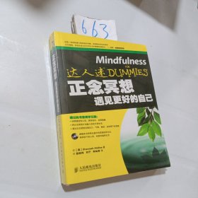 正念冥想：遇见更好的自己