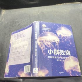 小群效应 席卷海量用户的隐性力量