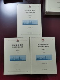 国家能源集团全员绩效考核指引：煤化工