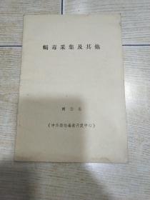 蝎毒采集及其他