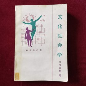 文化社会学（社会学丛书）