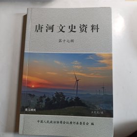唐河文史资料：第十七辑