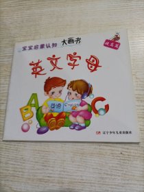 宝宝启蒙认知大画书：英文字母（提高篇）