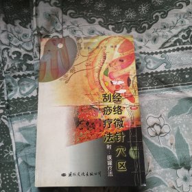 经络微针穴区刮痧疗法 正版