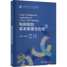 電網(wǎng)規(guī)劃基本與應(yīng)用 水利電力 王承民 編 新華正版
