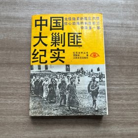 中国大剿匪纪实