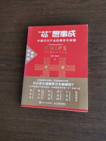 芯想事成 中国芯片产业的博弈与突围