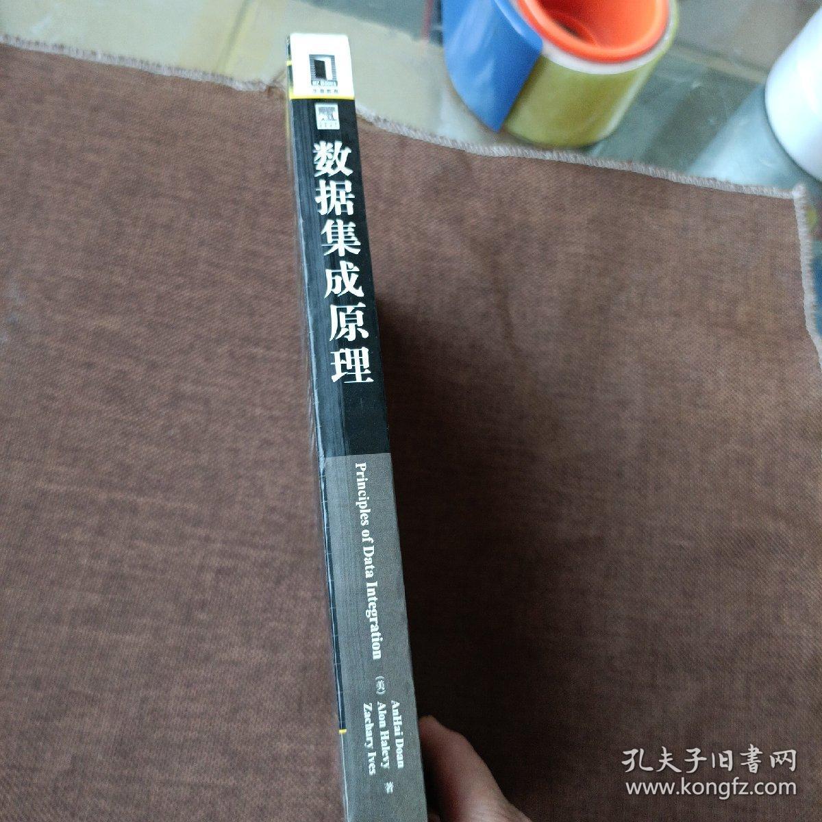 计算机科学丛书：数据集成原理(平未翻)