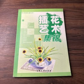 插花艺术集锦：时尚插花跟我学