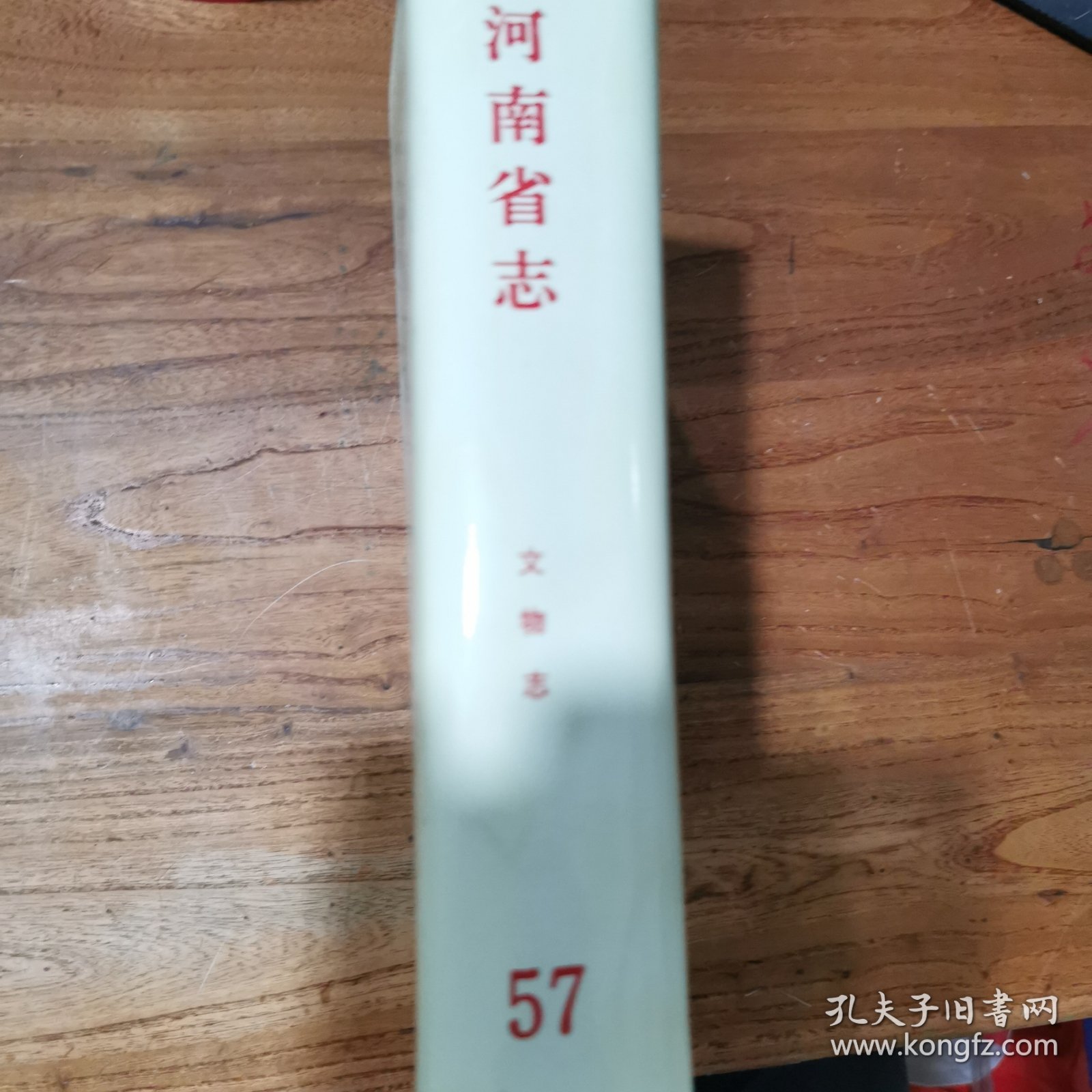 河南省志 ： 文物志