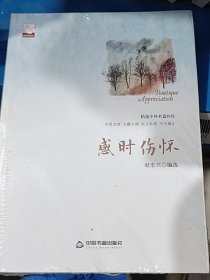 感时伤怀