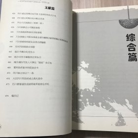 辛亥波涛:纪念辛亥革命暨四川保路运动一百周年文集