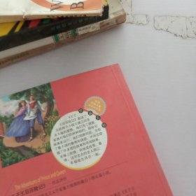 王子王后历险记