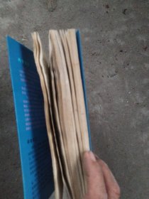 塞莱斯廷预言，