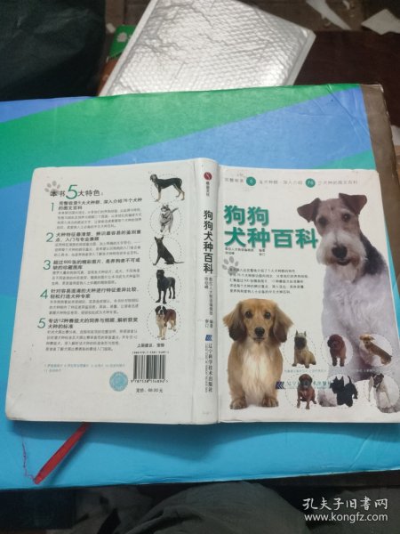 狗狗犬种百科