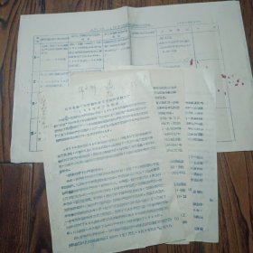 湖南轻工业研究所工艺美术试验工厂1960年文献
